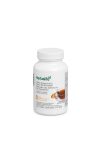 Herbalife Instant gyógynövény italpor tea kivonattal - Mangó sárkánygyümölcs ízű 102 g